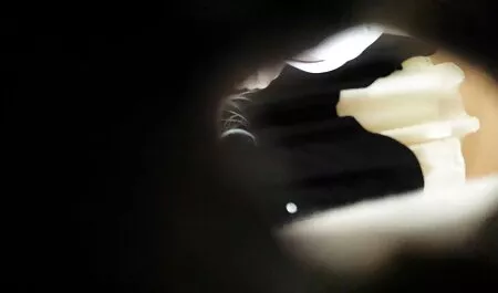 Поглинути з зірками татуювання скачати порно відео безкоштовно в анал